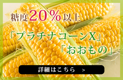 糖度20％以上「プラチナコーンX」「おおもの」の詳細はこちら