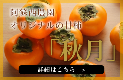 阿蘇西農園オリジナルの甘柿「秋月」の詳細はこちら