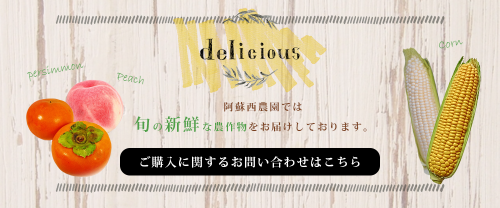 　阿蘇西農園では旬の新鮮な農作物をお届けしております。ご購入に関するお問い合わせはこちら